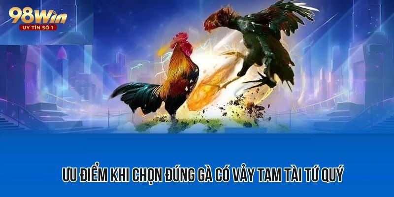 Sở hữu gà có vảy tam tài tứ quý mang đến nhiều lợi ích 