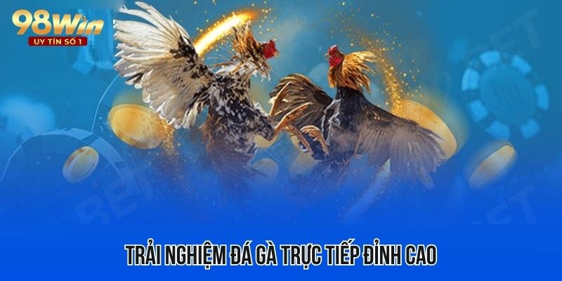 Tham gia sảnh đá gà online đẳng cấp, chuyên nghiệp hàng đầu